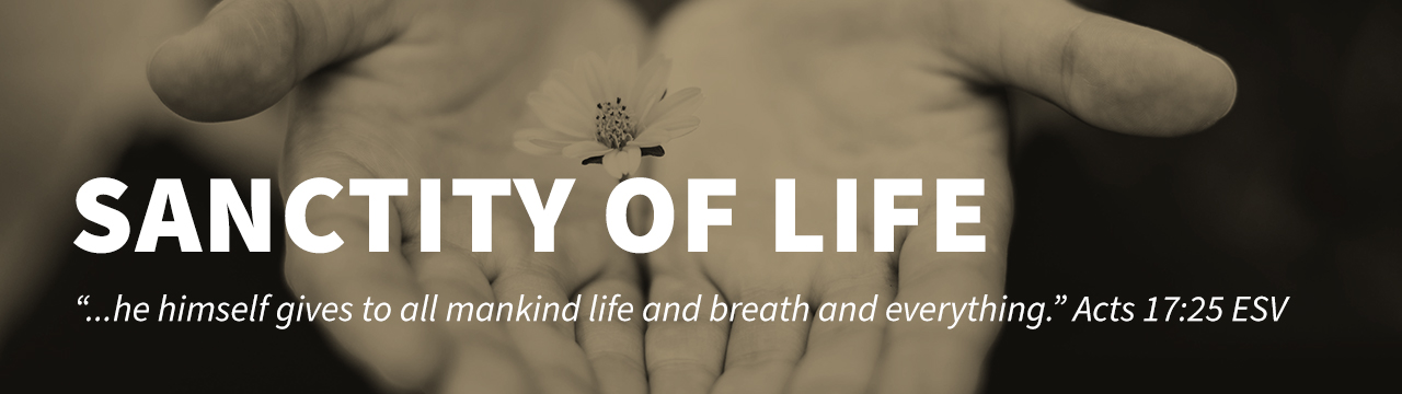 SanctityofLife_WebPageHeader_1280x360.jpg